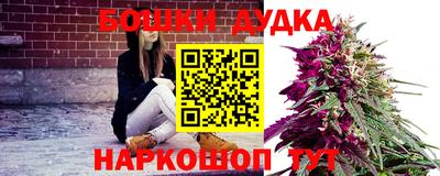 дурь Гай
