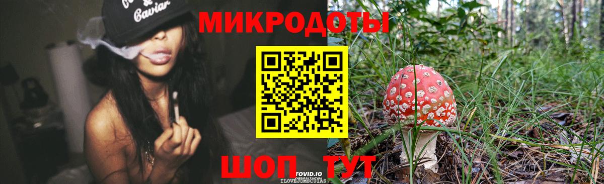 Псилоцибиновые грибы мухоморы Надым